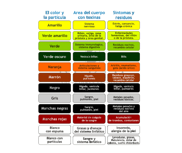 DESINTOXICADOR IONICO DUAL - Image 3